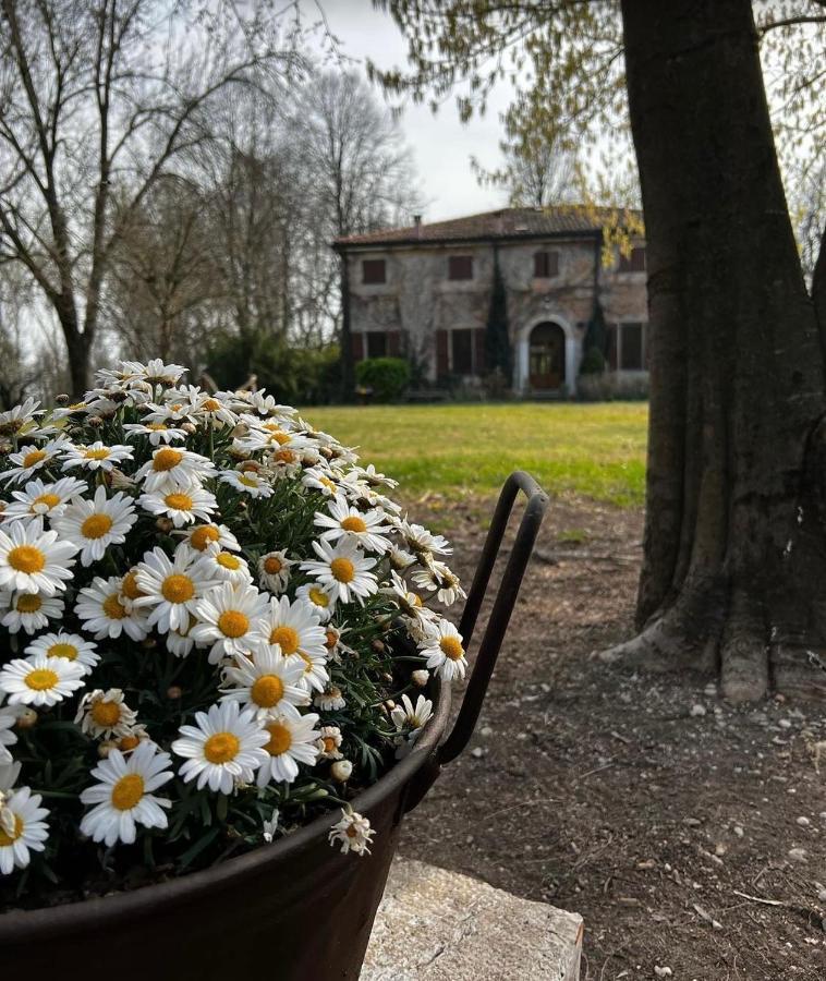 Agriturismo Corte San Girolamo มานโตวา ภายนอก รูปภาพ