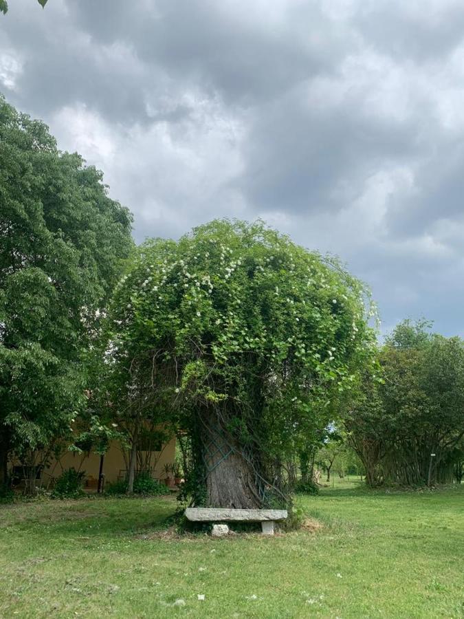 Agriturismo Corte San Girolamo มานโตวา ภายนอก รูปภาพ