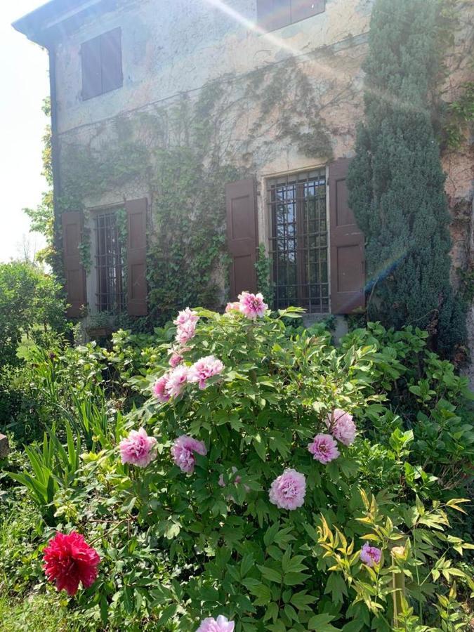 Agriturismo Corte San Girolamo มานโตวา ภายนอก รูปภาพ