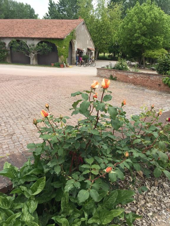 Agriturismo Corte San Girolamo มานโตวา ภายนอก รูปภาพ