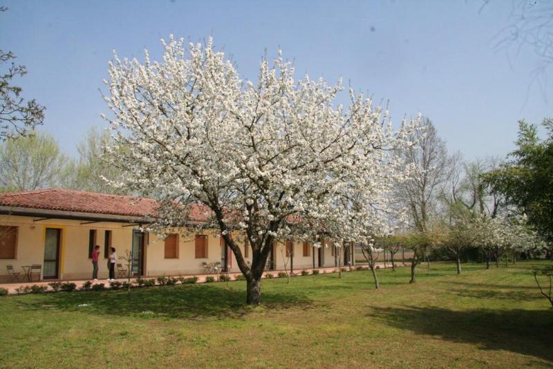 Agriturismo Corte San Girolamo มานโตวา ภายนอก รูปภาพ