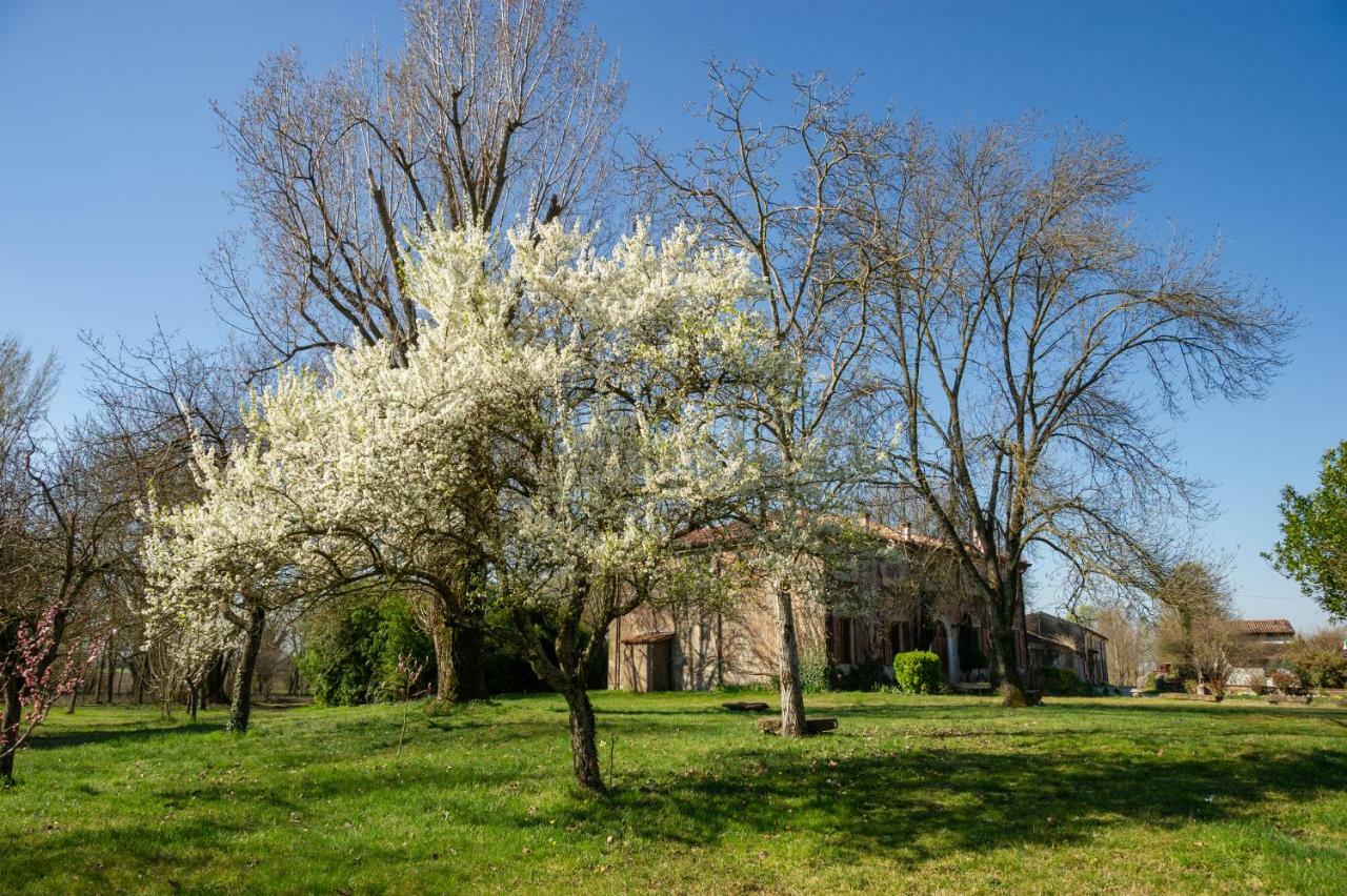 Agriturismo Corte San Girolamo มานโตวา ภายนอก รูปภาพ